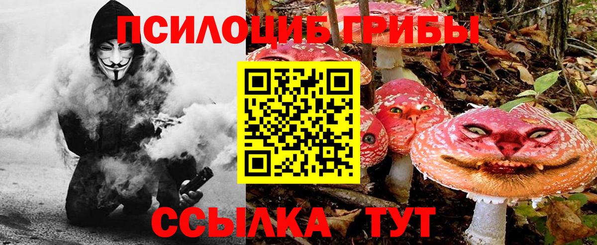 Псилоцибиновые грибы GOLDEN TEACHER Шадринск